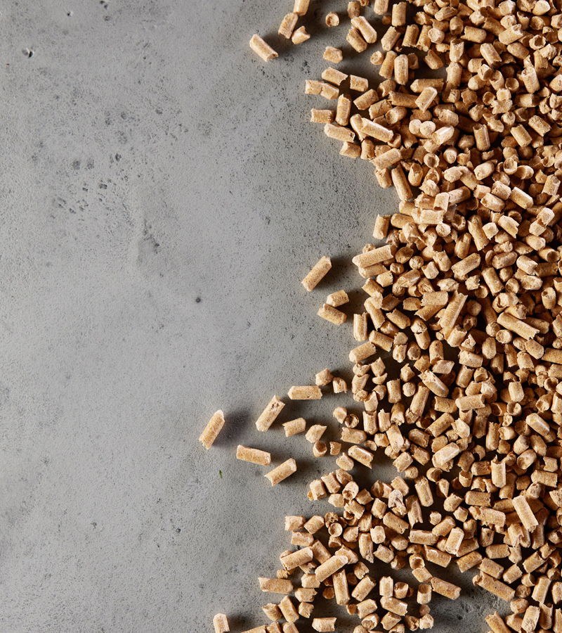 Yem Katkı Kimyasalları