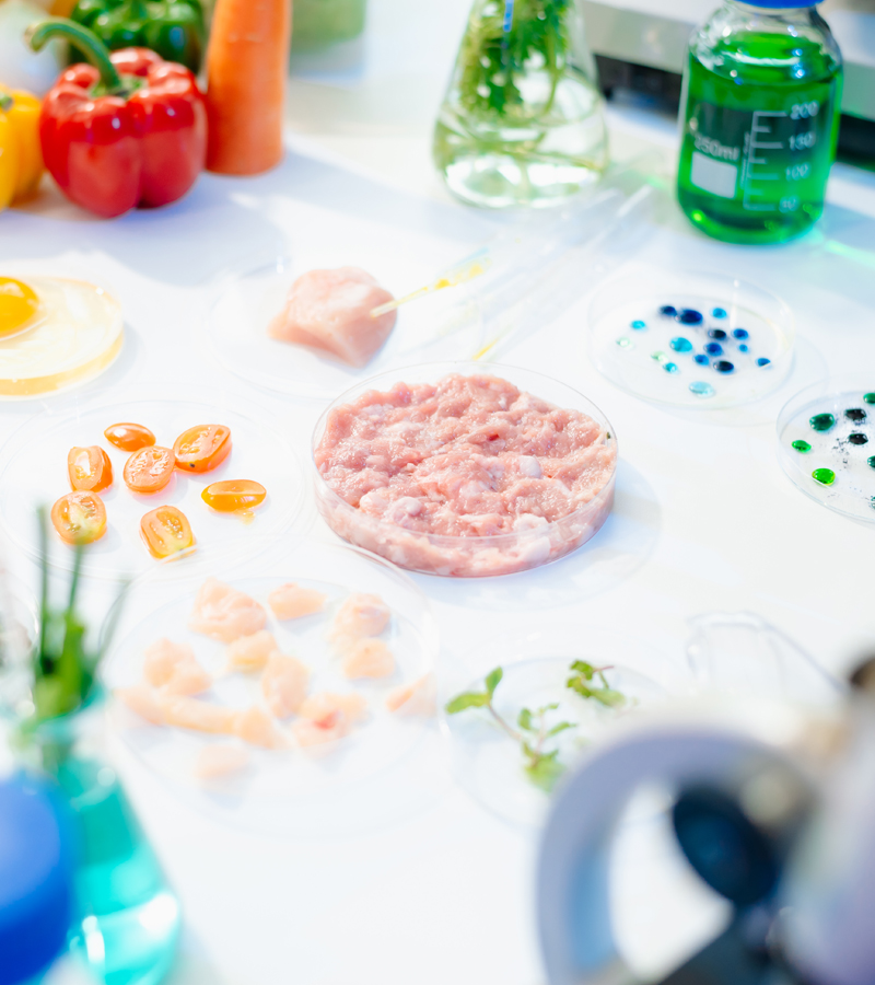 Gıda Katkı Maddeleri